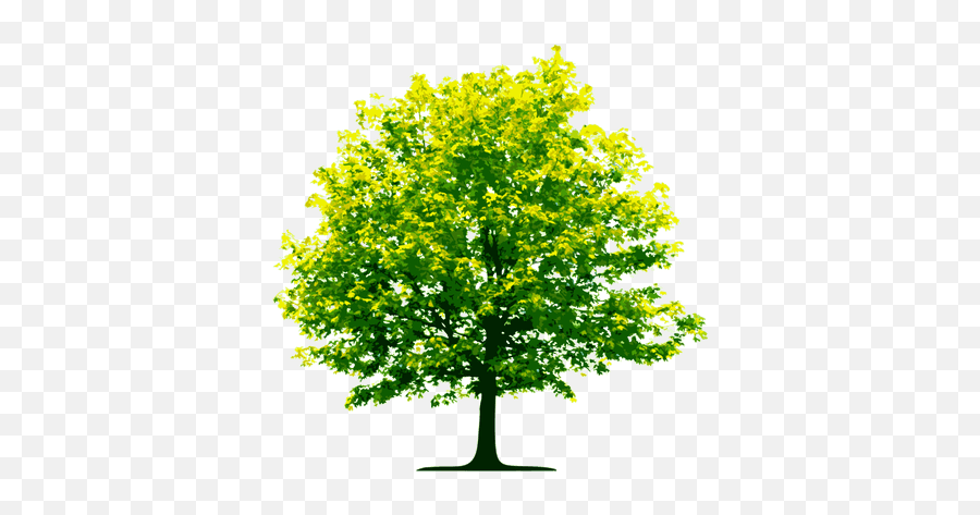 Download Light Green Tree - Tree Clipart Transparent Emoji,Tree Clipart Transparent