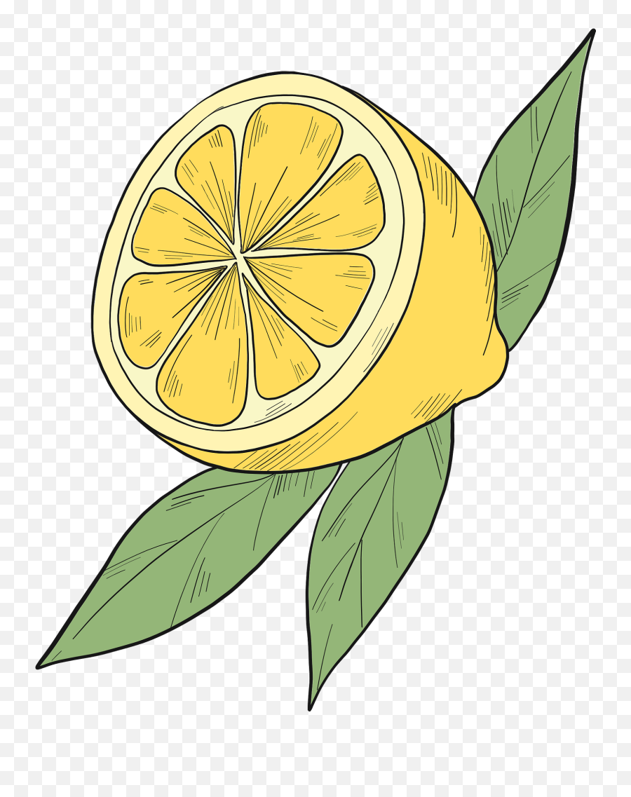 Half Lemon Clipart - Lemon Clipart Emoji,Lemon Clipart