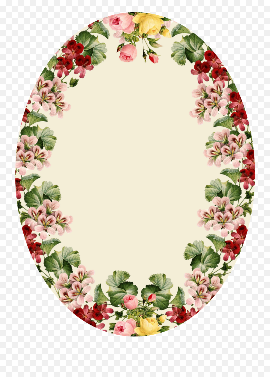 Oval Shape Flower Frame Png - Epistle To The Ephesians 4 25 Emoji,Oval Frame Png