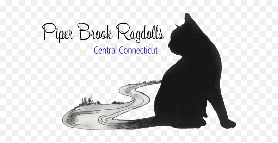 Tica Registered Ragdoll Breeder - Language Emoji,Ragdoll Logo