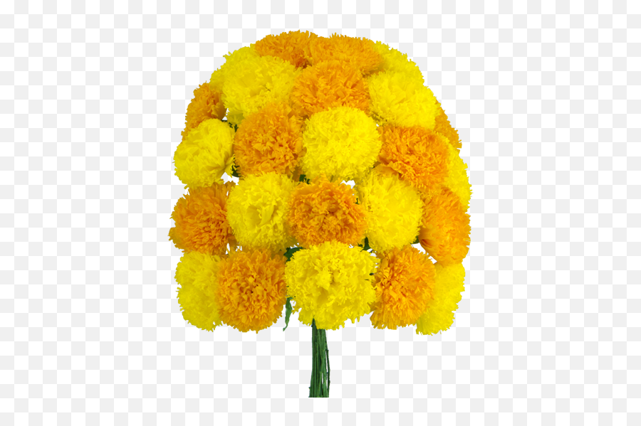 Paper Cempasuchil - Day Of The Dead Flowers Png Emoji,Flowers Transparent