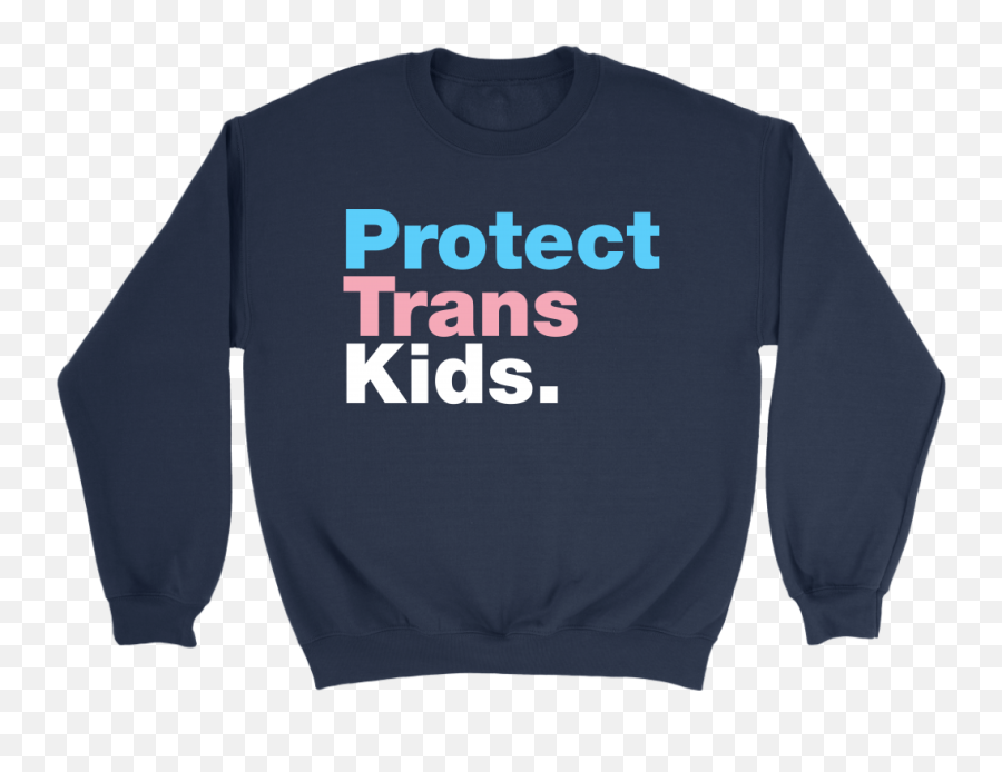 Protect Trans Kids Flag Hoodie U2013 Fishbiscuitdesigns - Protectron Emoji,Trans Flag Png
