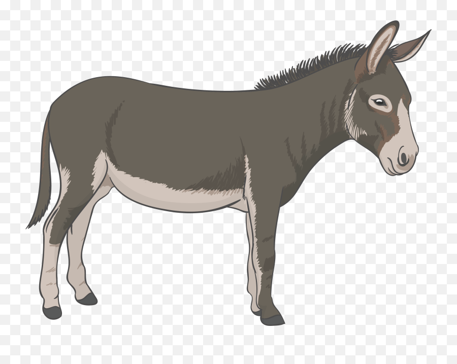 Donkey - Donkey Png Emoji,Donkey Clipart