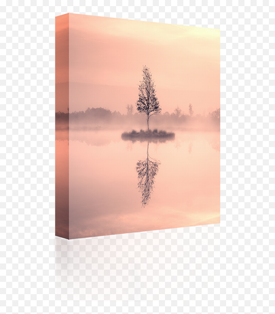 Download Hd Birch Tree Island - Reflection Transparent Png Emoji,Birch Tree Clipart