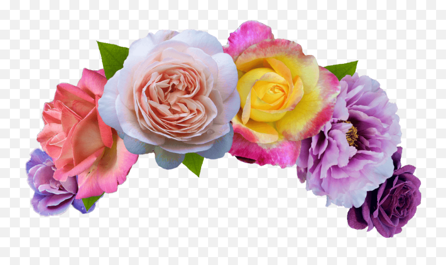 Picture - Colorful Flower Crown Png Emoji,Flower Crown Transparent