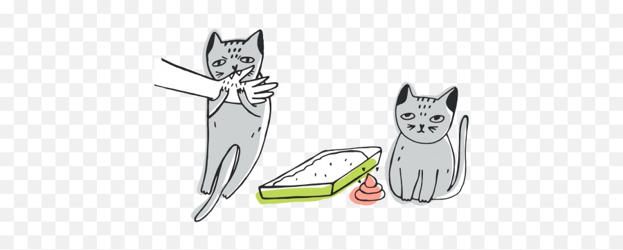 Cat Declawing And Alternatives Humane Society Of Utah Emoji,Scratch Cat Png