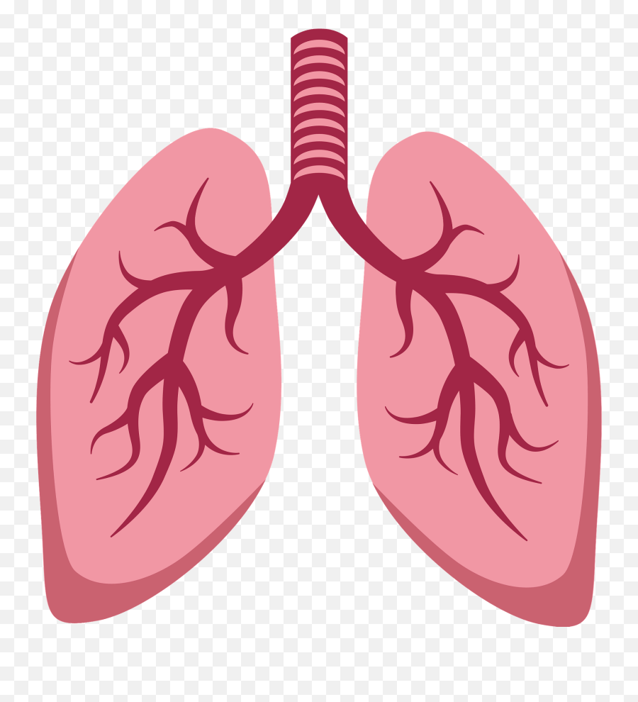 Lungs Clipart - Heart Emoji,Lungs Clipart