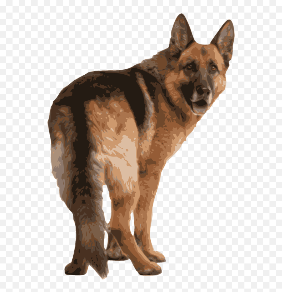 Cute Puppy Png - German Shepherd Back Png Emoji,German Shepherd Clipart