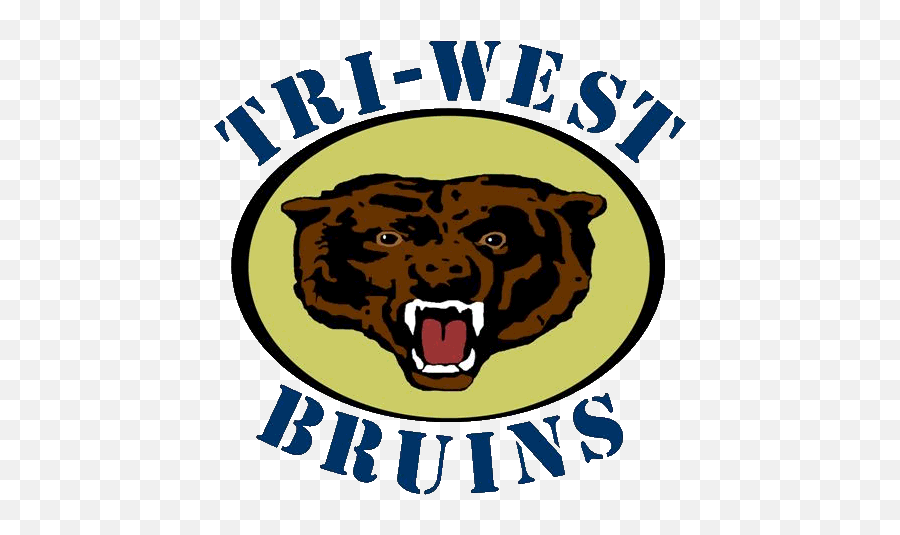 The Tri - West Hendricks Bruins Scorestream Certified Sc Product Emoji,Bruins Logo