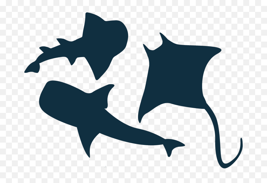 Shark Fin Clipart Png Pixabay Png Emoji,Shark Fin Clipart