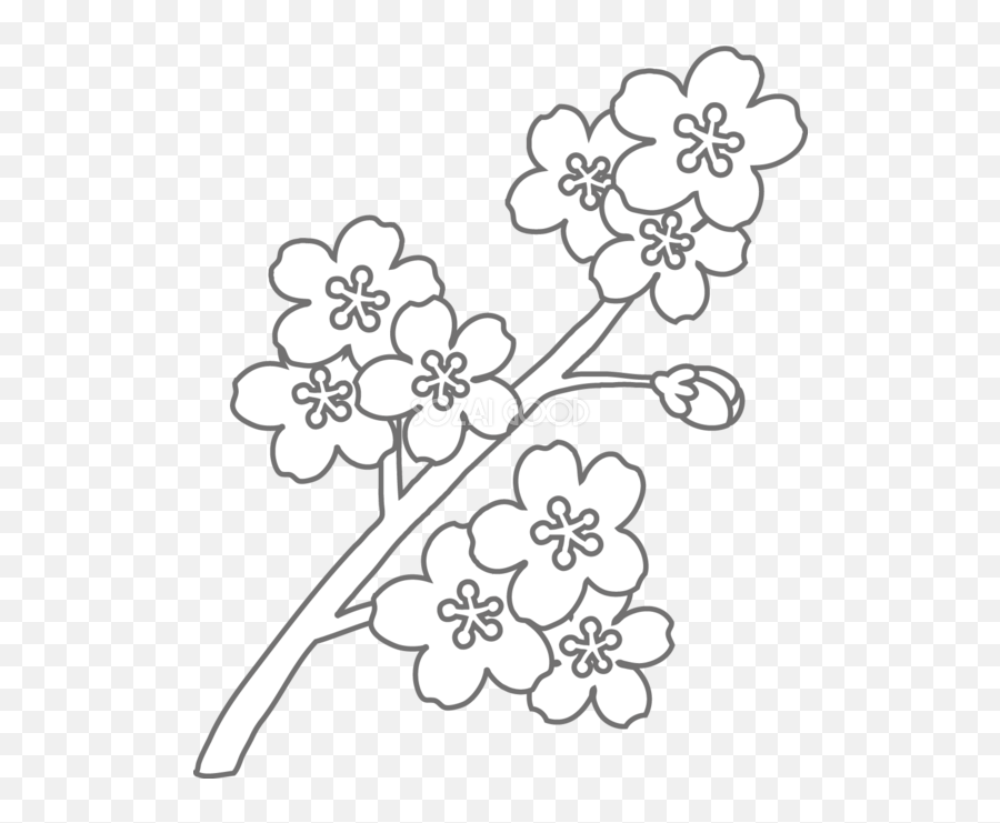 Coloring Sakura Flower Transparent Cartoon - Jingfm Emoji,Sakura Clipart