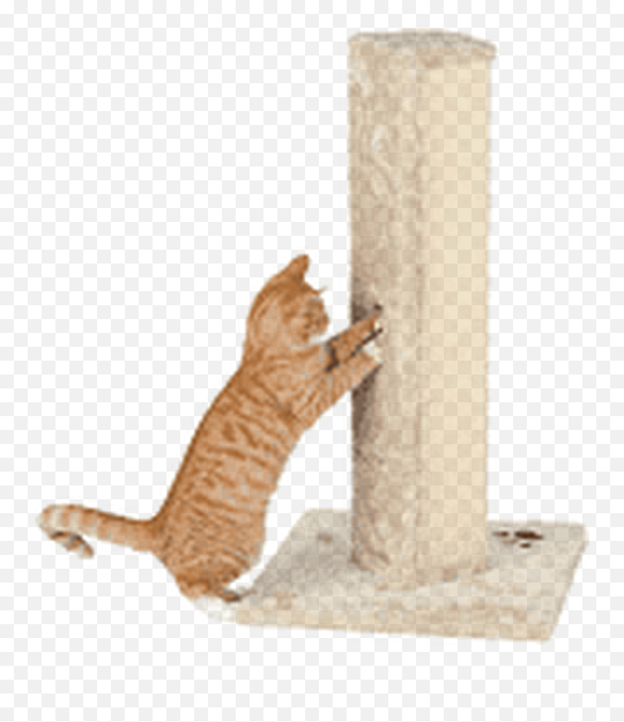 Soria Cat Scratching Pillar Emoji,Scratch Cat Png