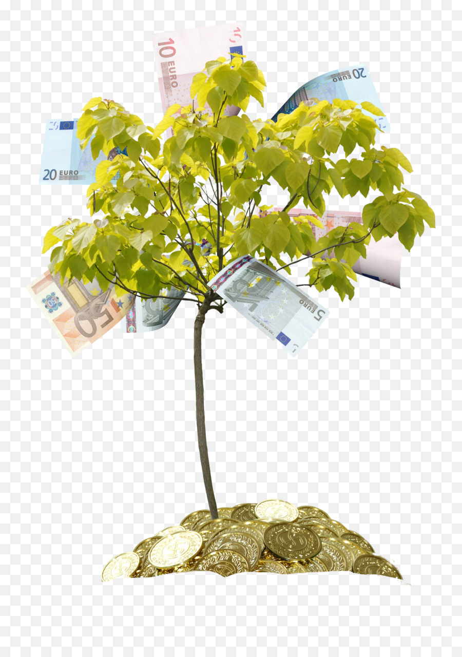 Tree Money Drawing Clip Art Emoji,Money Tree Clipart