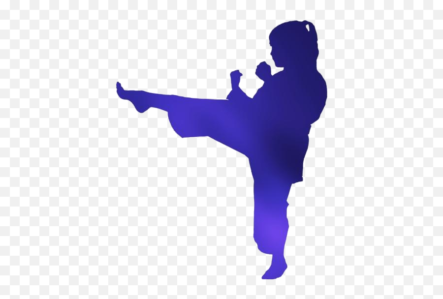 Transparent Women In Karate Suit Clipart Pngimagespics - Kick Emoji,Suit Clipart