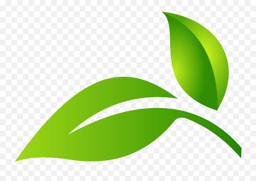 Leaf - Logo Green Leaf Png Logo Full Size Png Download Eco Leaf Logo Png Emoji,Green Leaves Png