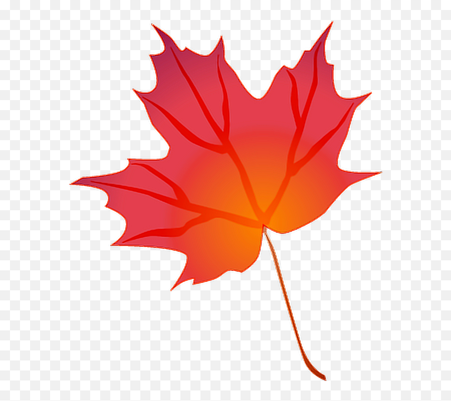 Fall Leaves Png Photos - Fall Leaf Clipart Png Emoji,Fall Leaves Png