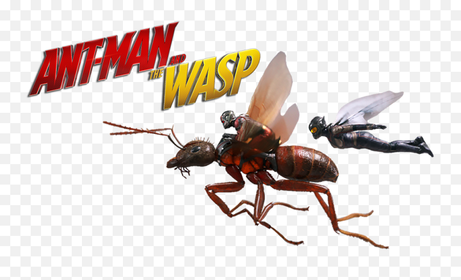 Ant - Man Png Incredibles 2 Ant Man And Ant Man 2 Png Emoji,Ant Man Transparent