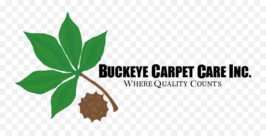 Carpet Cleaning - Houses Emoji,Buckeye Logo