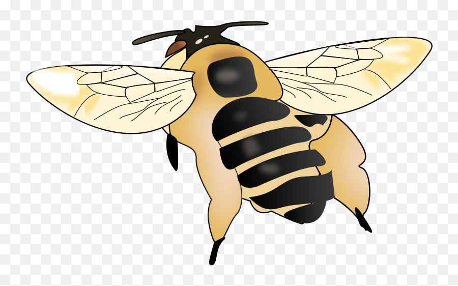 Free Clipart Bee Rdevries - Bees Emoji,Free Bee Clipart