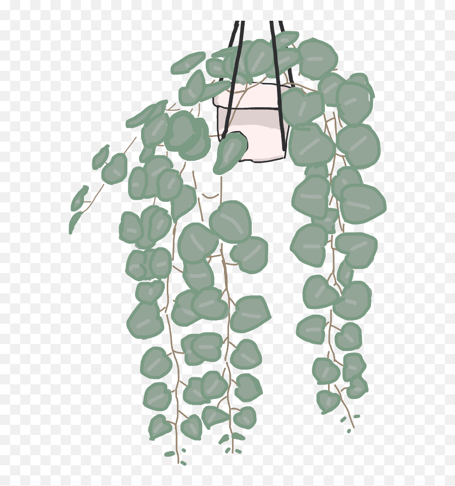 Plant Plants Hangingplants Hangingplant Green Emoji,Hanging Plants Png
