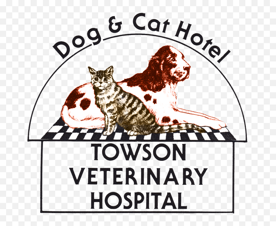 Towson Veterinarian Hospital Cat Dog Hotel Baltimore Md - Wellington Zoo Emoji,Catdog Logo