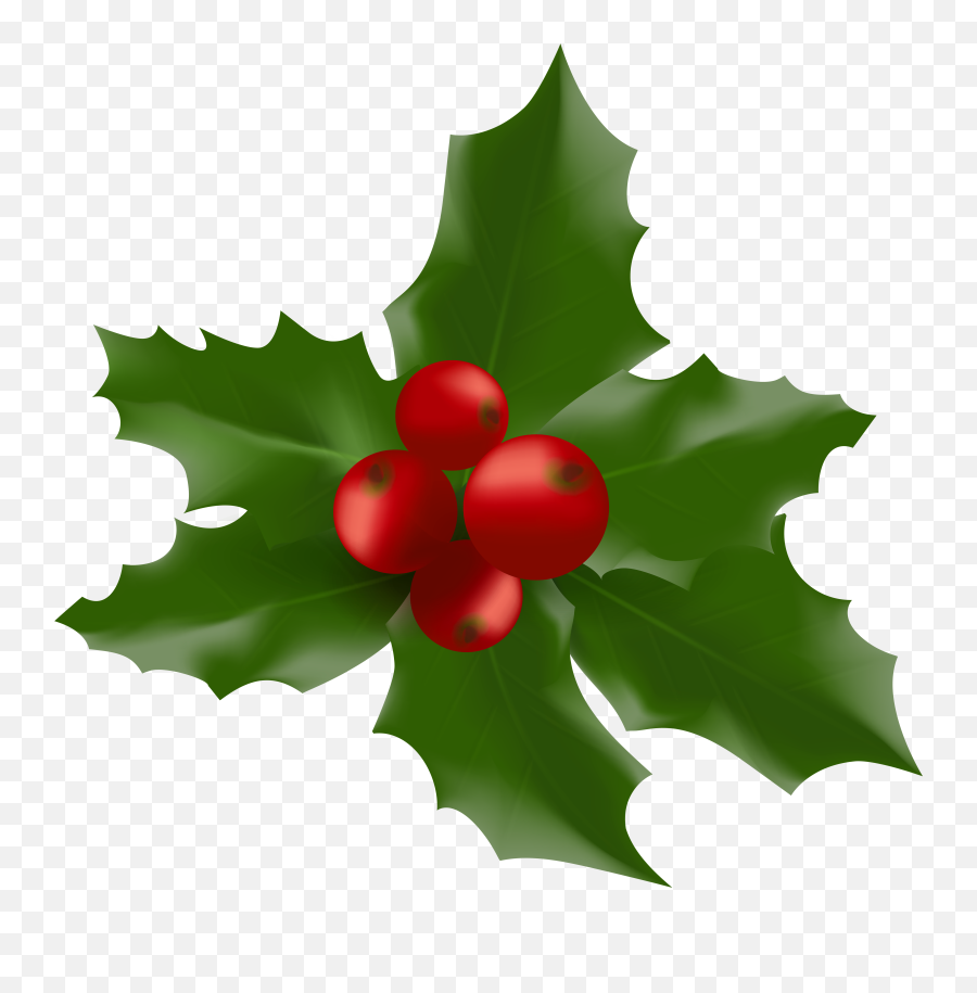 Christmas Mistletoe Png Transparent - American Holly Emoji,Mistletoe Png