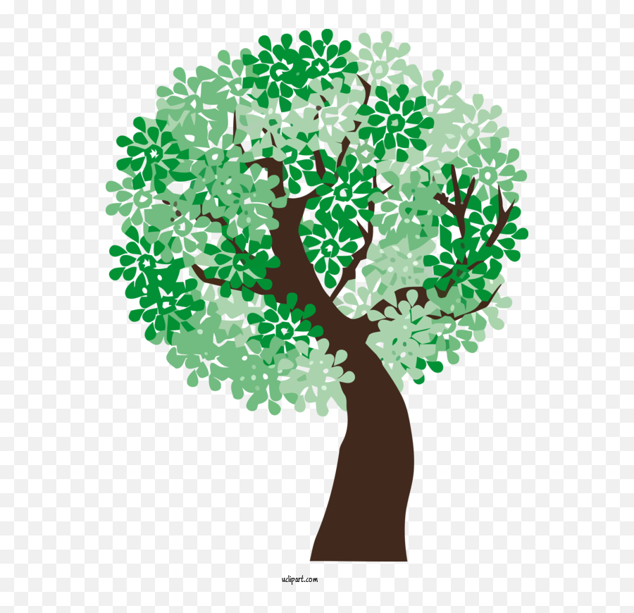 Nature Green Tree Plant For Tree - Tree Clipart Nature Clip Art Emoji,Tree Clipart Transparent