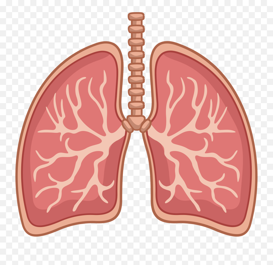 Lungs Clipart - For Adult Emoji,Lungs Clipart