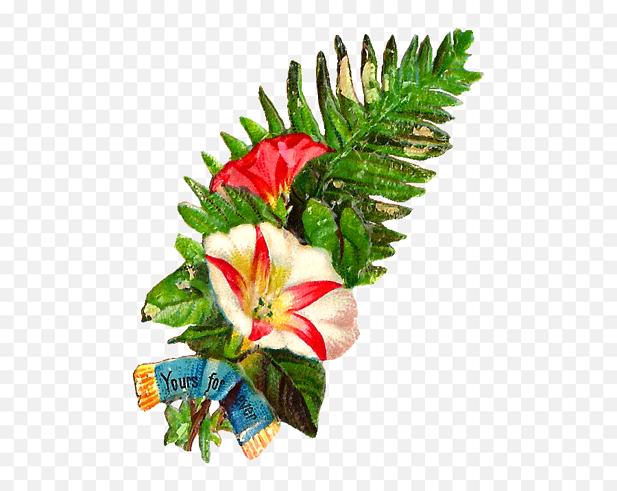 Free Flower Clip Art - Flower Buke Hd Png Emoji,Free Flower Clipart