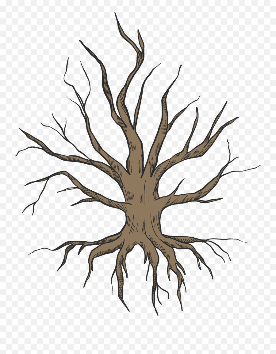 Dried - Dried Up Tree Drawing Emoji,Roots Png