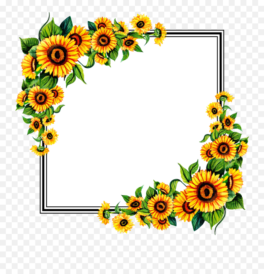 Transparent Background Sunflower Frame - Frame Flower Png Emoji,Sunflower Border Clipart