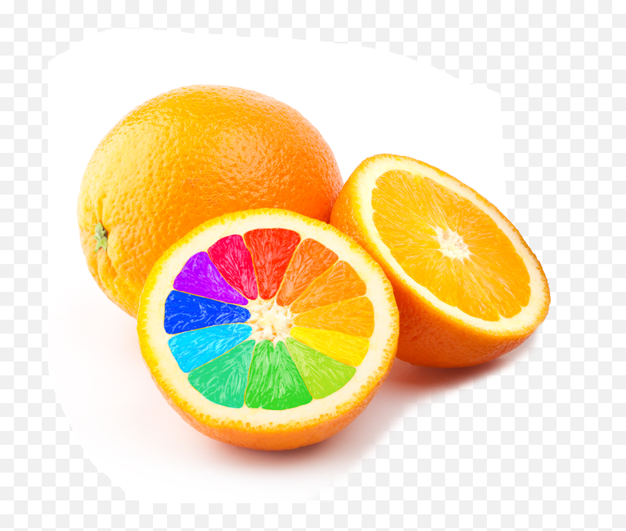 Orange Slice Pencilbox - Creativity Or Concept Hd Png Creativity Colorful Emoji,Orange Slice Png