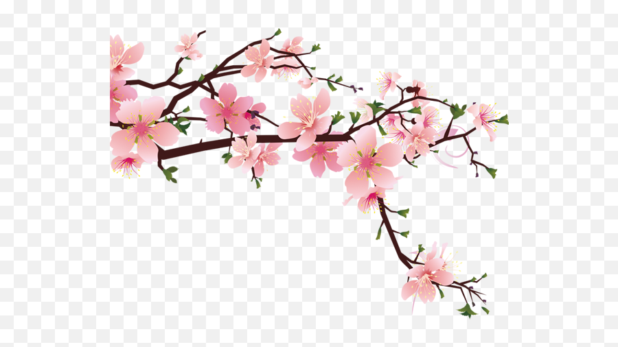 Download 600 X 600 11 - Cherry Blossom Drawing Pixel Full Cherry Blossom Drawing Japanese Flowers Emoji,Cherry Blossom Transparent Background
