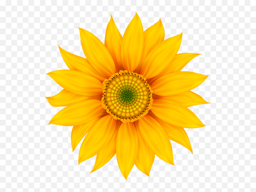 Yellow Flower Transparent Clip Art - Sunflower Wall Stickers Emoji,Yellow Flower Transparent