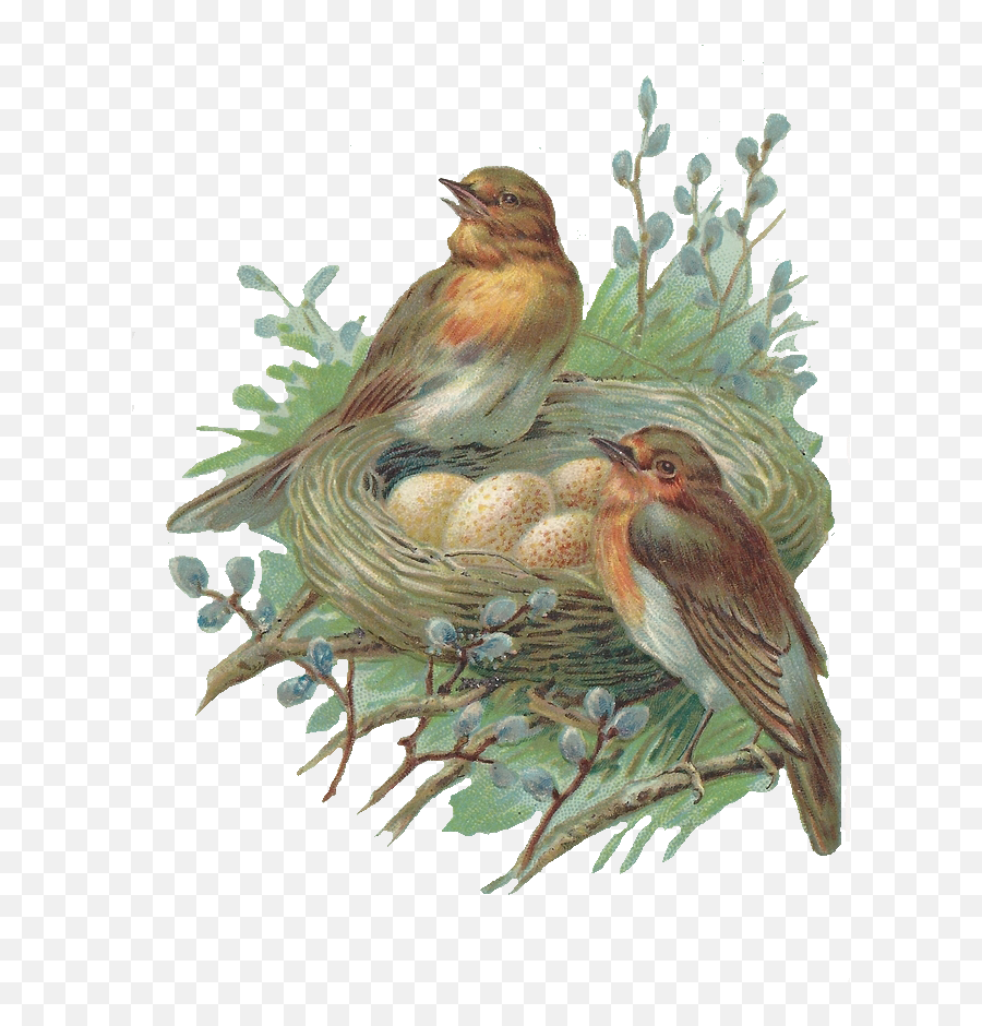 Nest Png Image - Transparent Background Birds With Nest Clipart Emoji,Nest Clipart