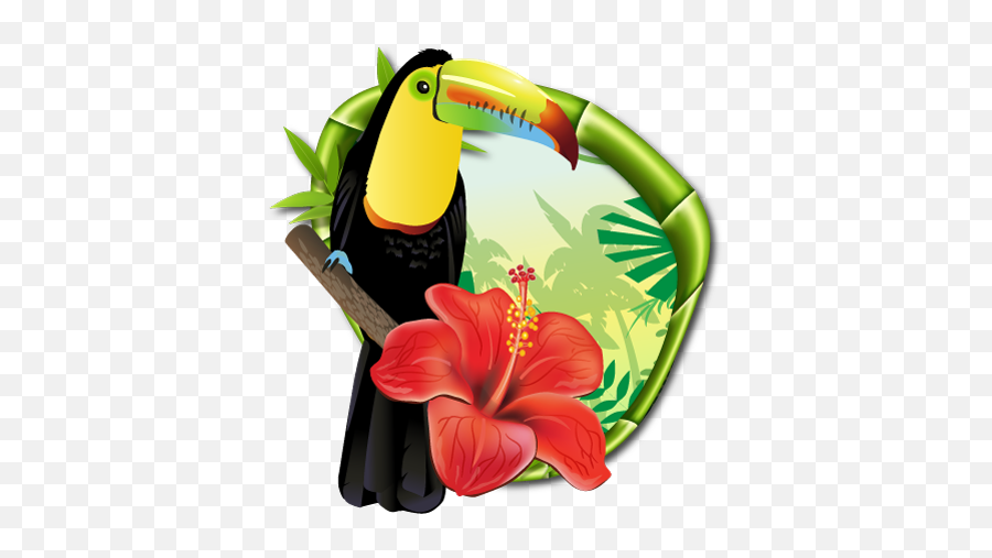 Jungle Dream Adventure Tours Travel And Accommodation Guide Emoji,Costa Rica Clipart