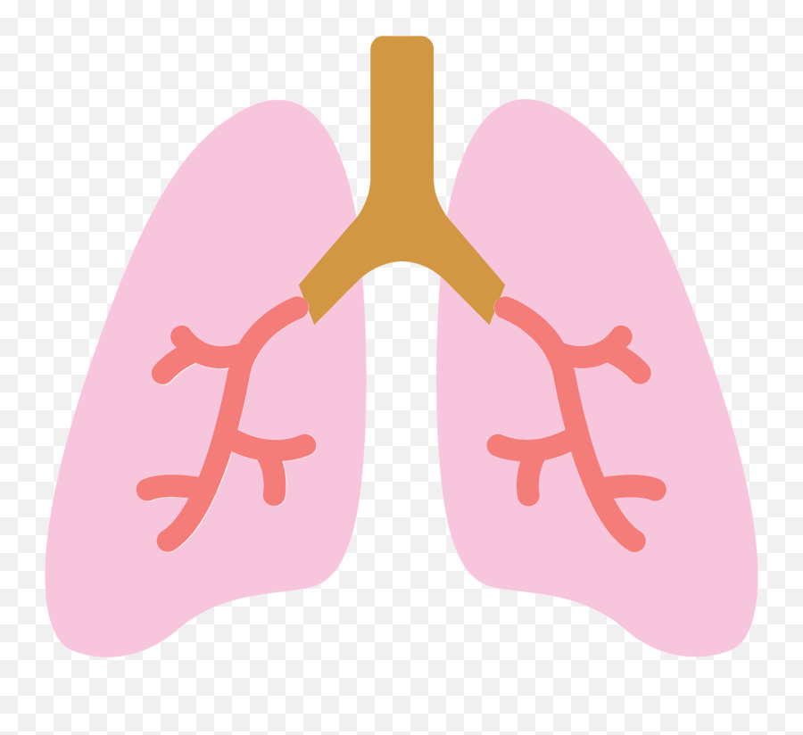 Lungs Clipart - Lungs Clip Art Png Emoji,Lungs Clipart