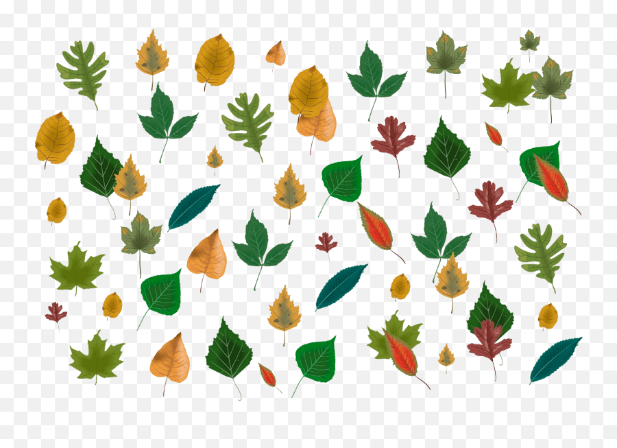 Autumn Leaves Clipart Free Download Transparent Png Emoji,Autumn Leaves Clipart