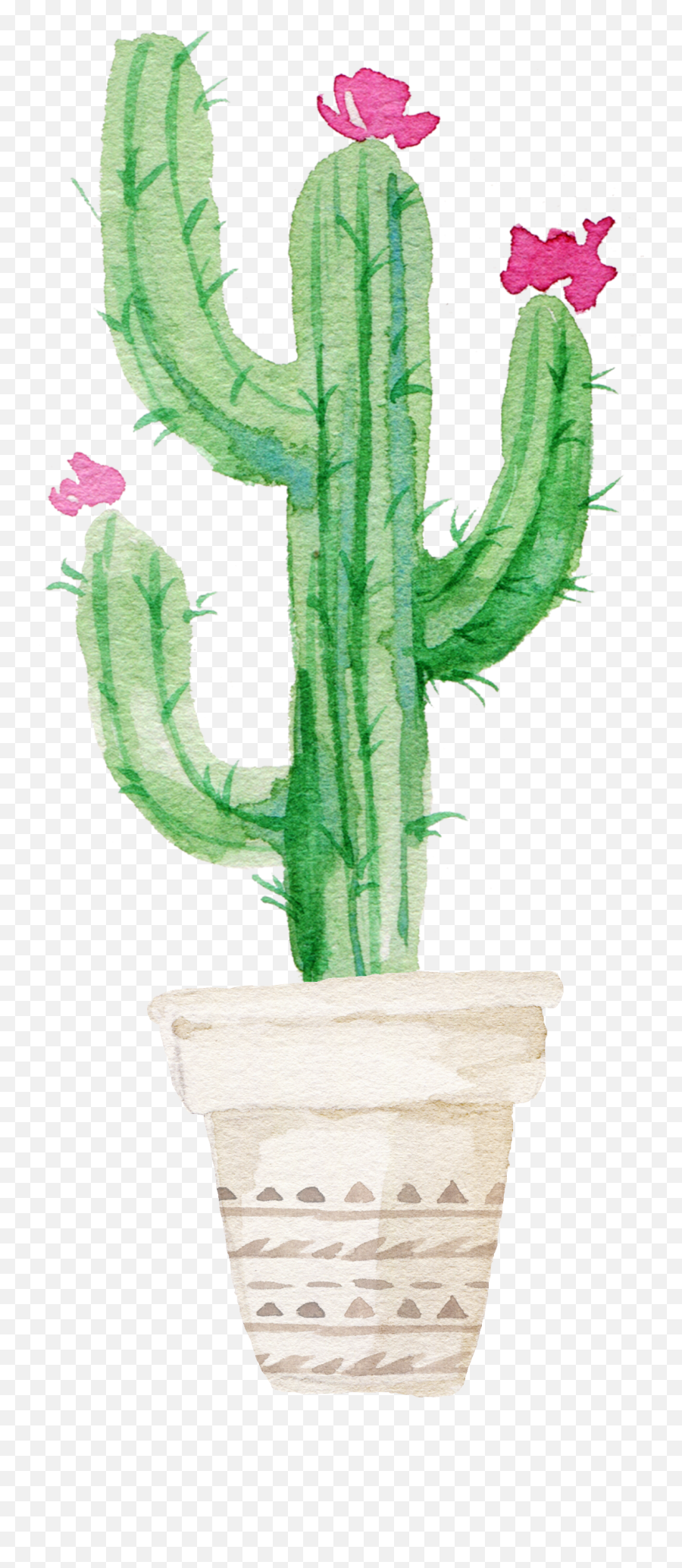 Watercolor Cactus Png Image With No - Flower Cactus Drawing Emoji,Cactus Transparent Background