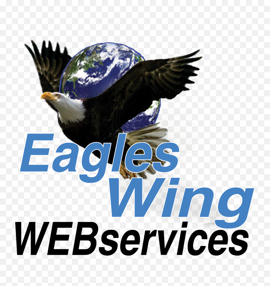 Eagle Face Png - Bald Eagle Transparent Cartoon Jingfm Bald Eagle Emoji,Bald Eagle Png