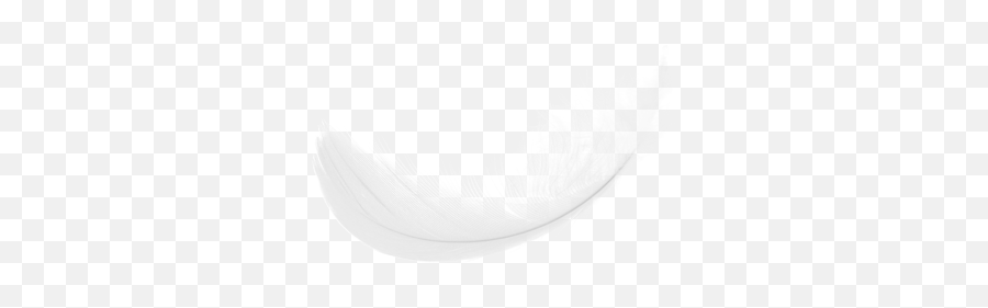 White Feather Png Transparent Images - Oval Emoji,Feather Png