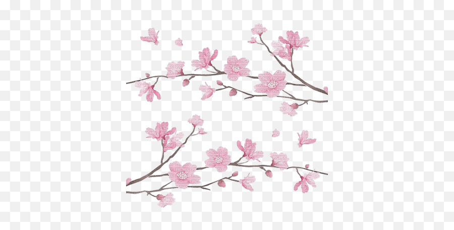 Cherry Blossom Branch Cerise Branche - Picmix Emoji,Cherry Blossom Branch Png