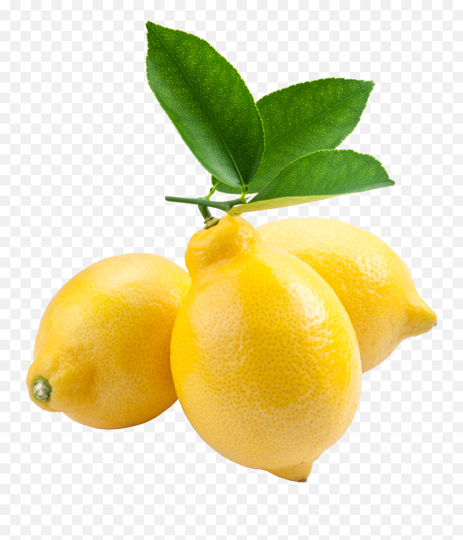 Lemon Png Hd 3 - Transparent Lemon Tree Png Emoji,Lemon Png