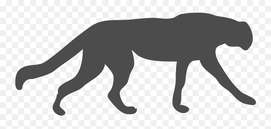 Wildcat Cougar Leopard - Free Vector Graphic On Pixabay Emoji,Wildcat Png