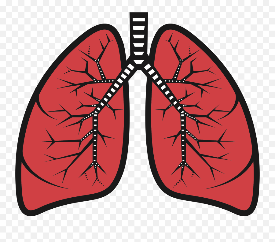 Lungs Clipart - Lung Clipart Png Emoji,Lungs Clipart
