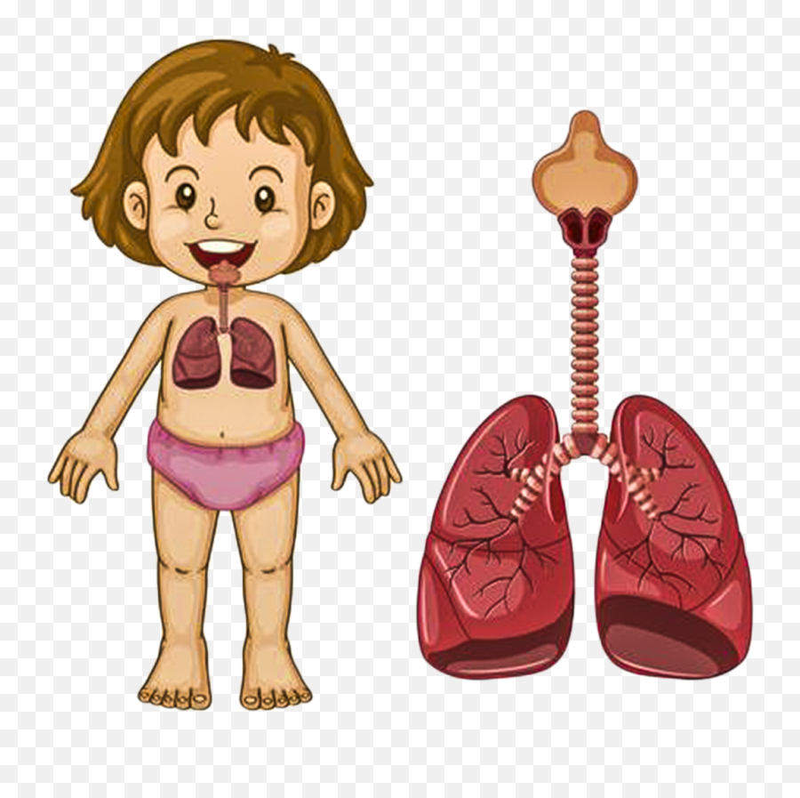 Kids Body Clipart Transparent Cartoon - Sistema Digestivo Para Niñas Emoji,Body Clipart