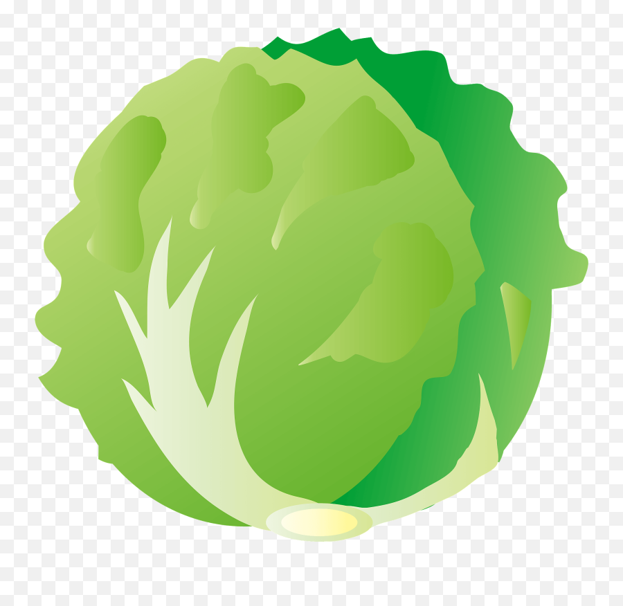 Lettuce Clipart - Lettuce Clipart Png Emoji,Salad Clipart