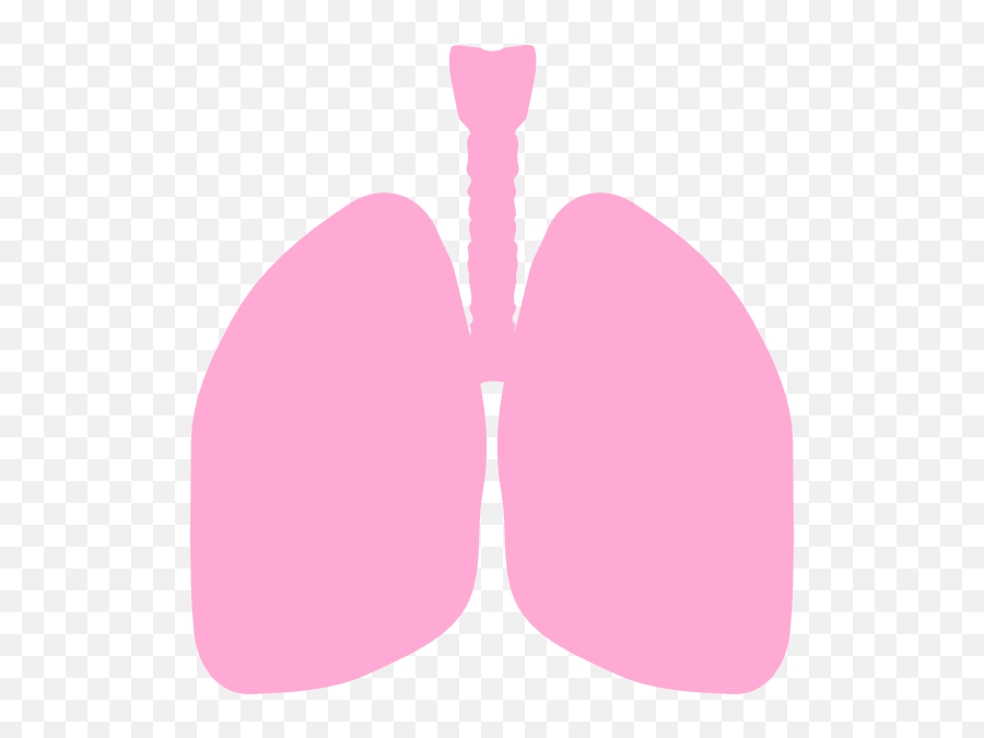 Free Small Lungs Cliparts Download - Lung Cartoon Clipart Emoji,Lungs Clipart