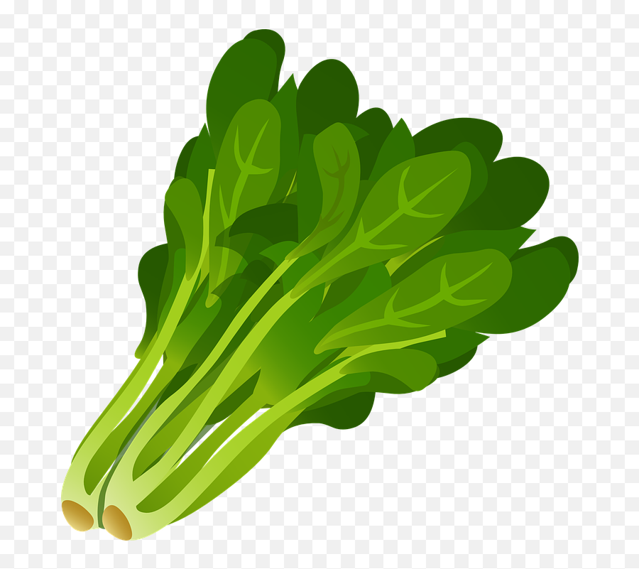 Download Clipart Of Vegetable Vegetab E And Seaweed Long - Superfood Emoji,Seaweed Clipart