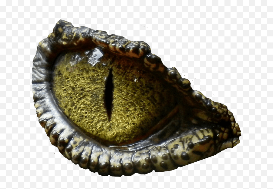 Dinosaur Eye Transparent Background - T Rex Eyes Png Emoji,Eye Transparent